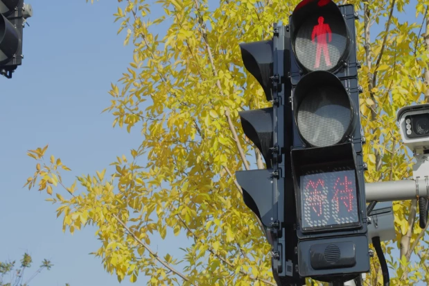 Las señales acústicas peatonales FAMA con carcasa de plástico superan las 7.500 unidades vendidas en noviembre y se han instalado en más de 1.000 intersecciones. Las señales acústicas peatonales FAMA con carcasa de plástico superan las 7.500 unidades vendidas en noviembre y se han instalado en más de 1.000 intersecciones.